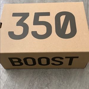 Adidas Yeezy Boost 350 box